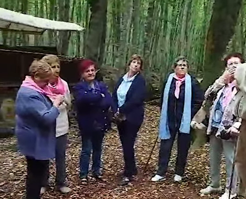 Excursió a la Fageda d’en Jordà